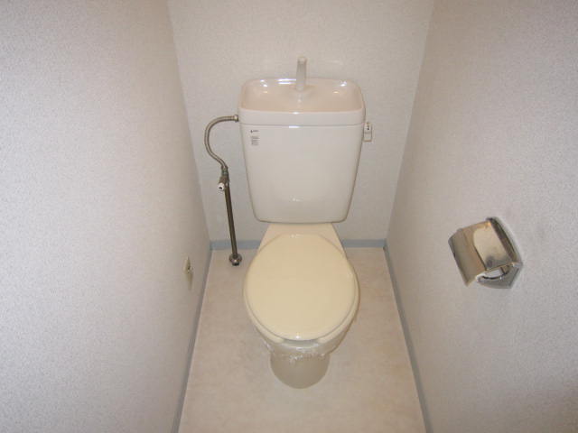 Toilet. It is a Western-style flush toilet.