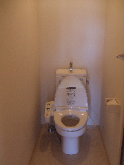 Toilet. Hot water is cleaning with a toilet.
