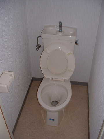 Toilet. Toilet and bath are separate.