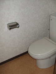 Toilet. Lighting window equipped in a manner WC