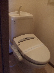 Toilet. Hot water is cleaning with a toilet.