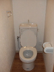 Toilet. State of the restroom.