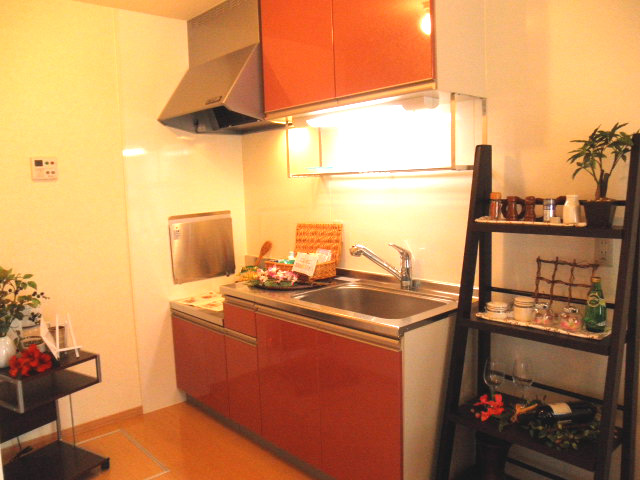 Kitchen. model room