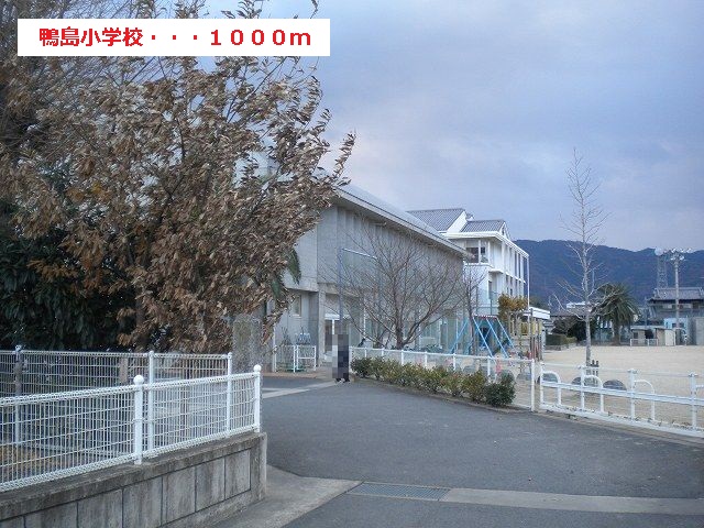 Primary school. Kamojima 1000m up to elementary school (elementary school)