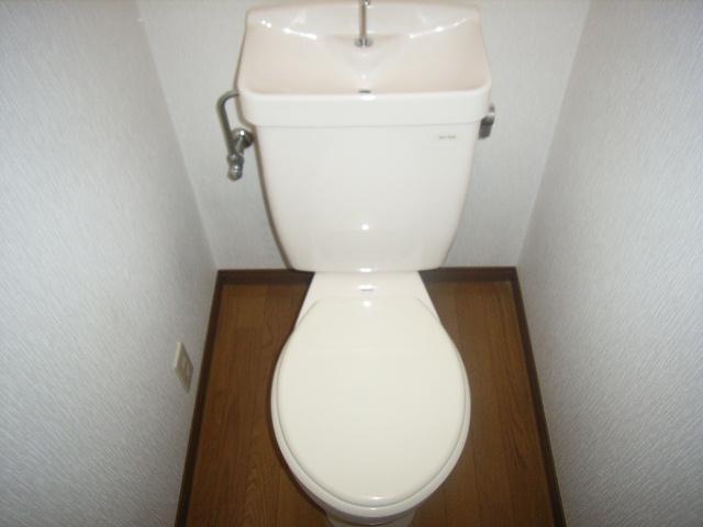 Toilet. Toilet