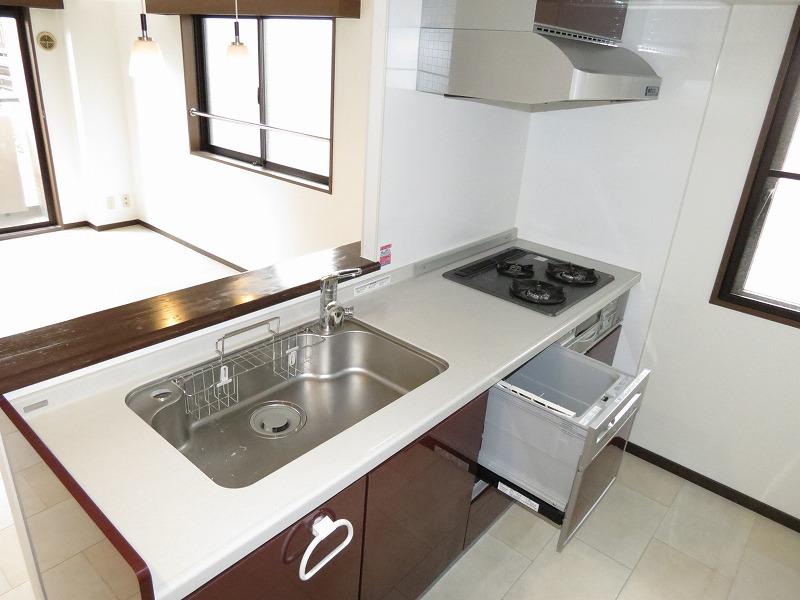 Kitchen. Dishwasher exhausted kitchen