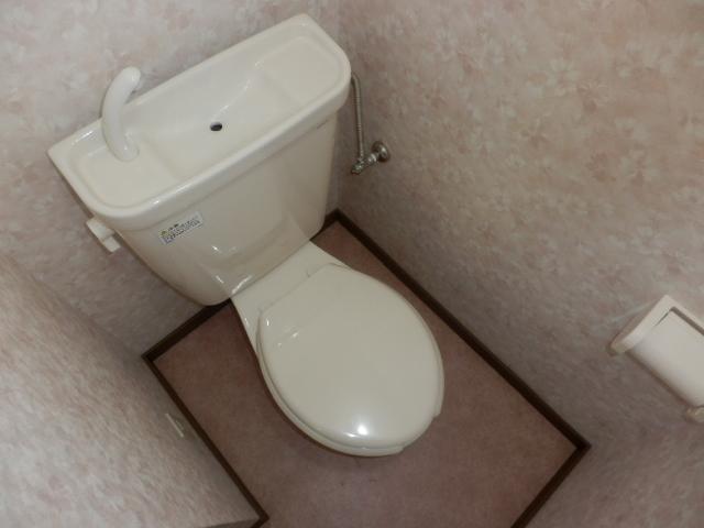 Toilet. Flush toilet