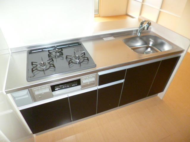 Kitchen. System kitchen (with gas three-necked)