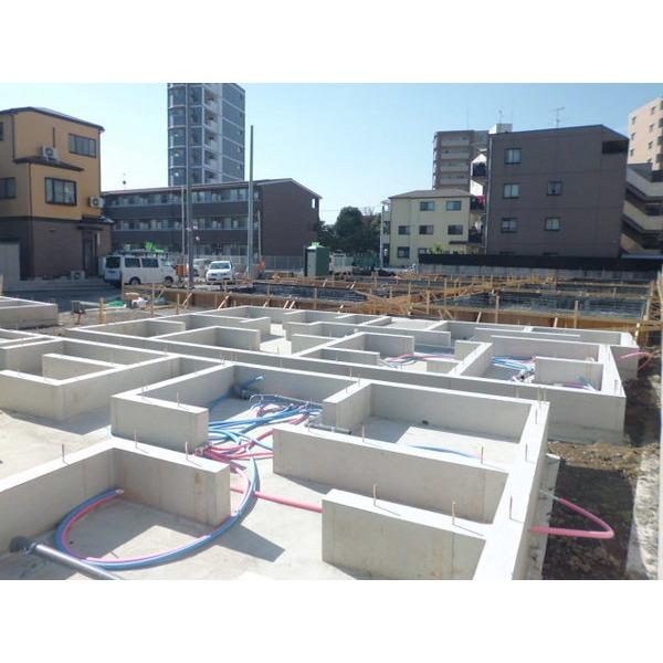 Other introspection. Local Photos