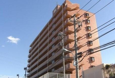 Local appearance photo. local