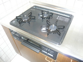 Kitchen. 3-neck gas stove grill