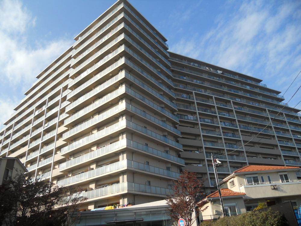 Local appearance photo. 2013 December shooting