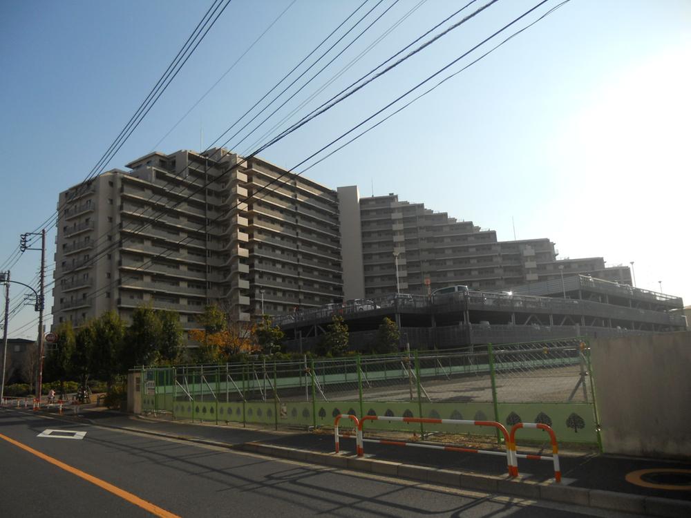 Local appearance photo. 2013 December shooting