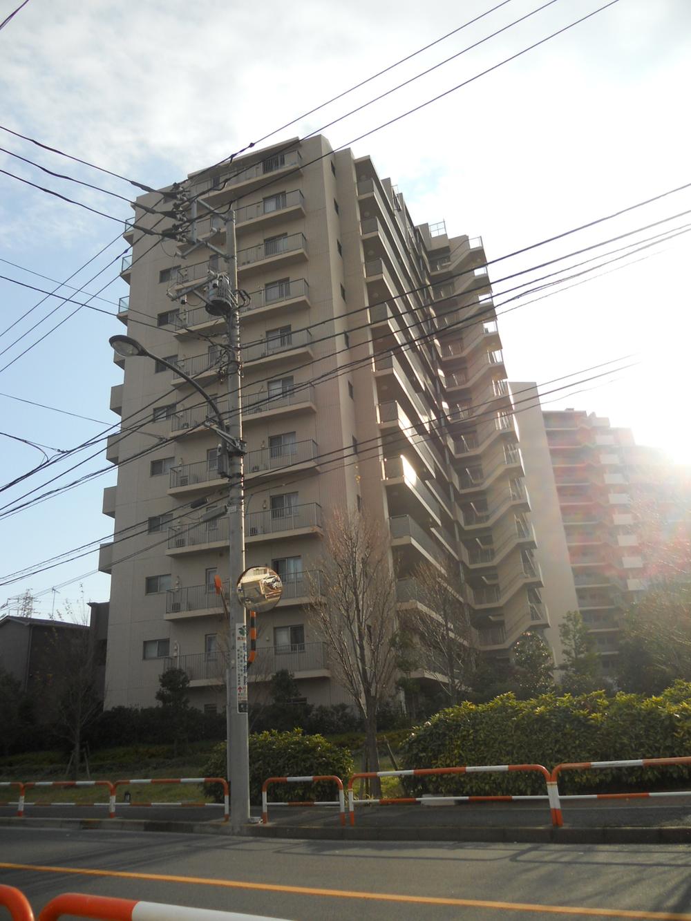 Local appearance photo. 2013 December shooting