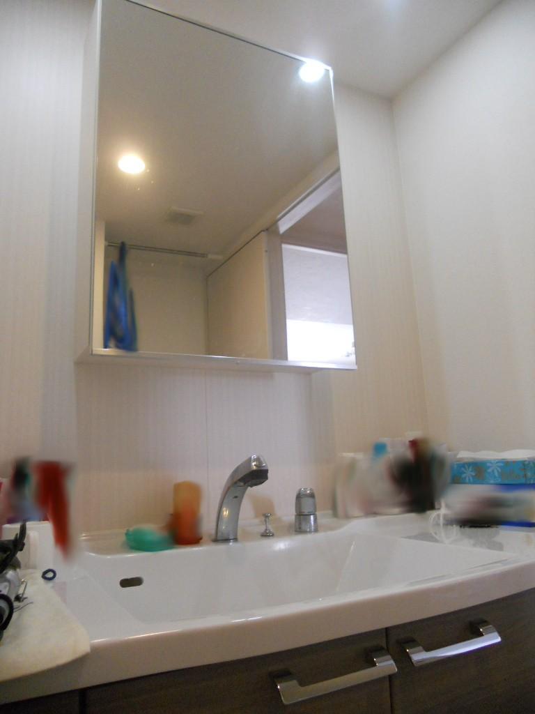 Wash basin, toilet. 2013 December shooting