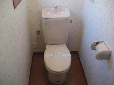 Toilet. Toilet