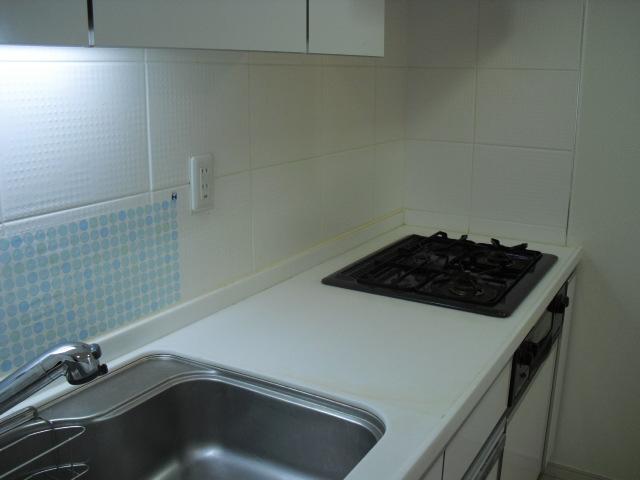 Kitchen. Indoor (11 May 2013) Shooting