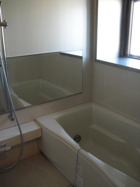 Bathroom. Indoor (11 May 2013) Shooting