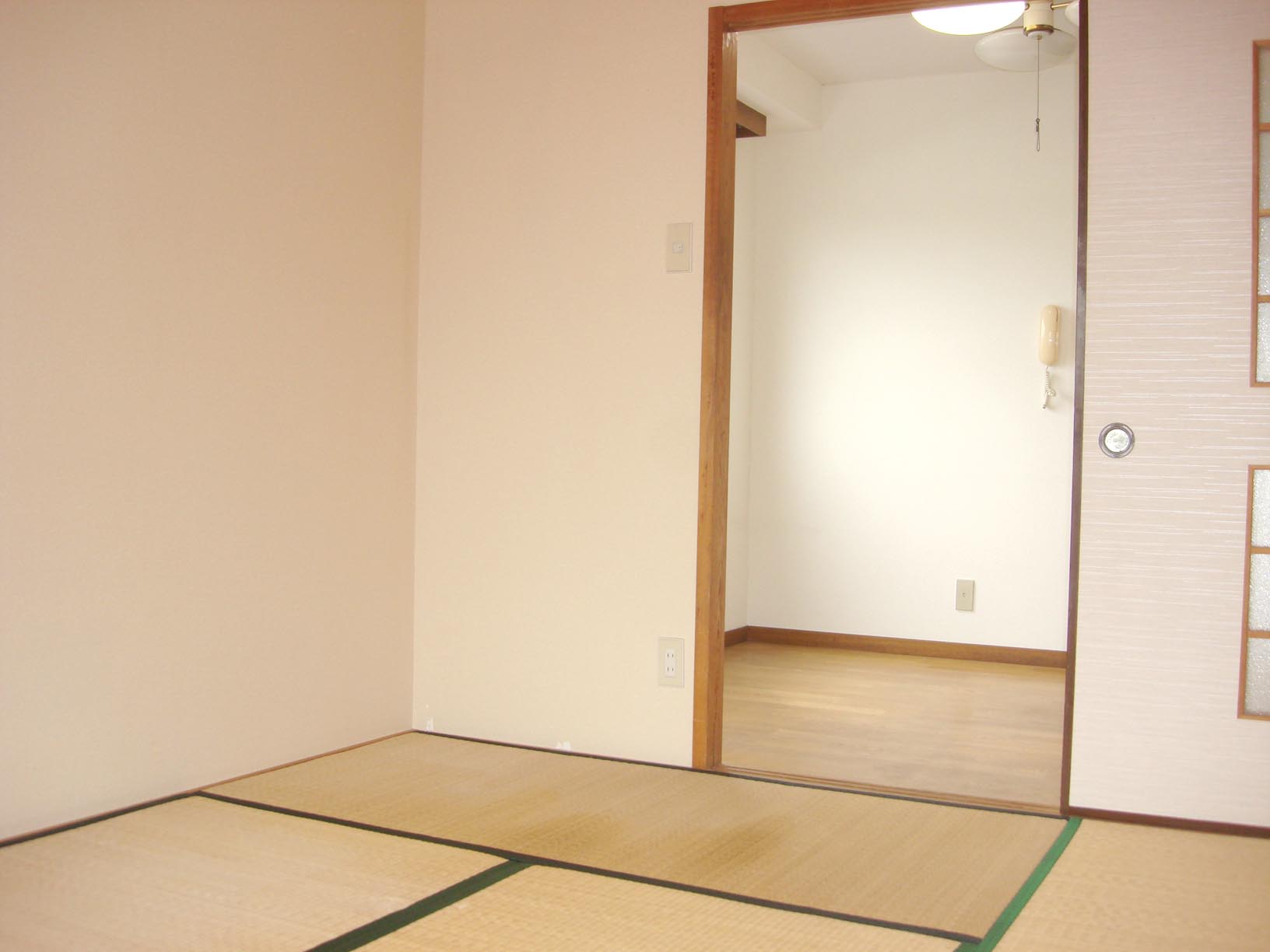 Living and room. Japanese-style room, which was taken from the balcony side