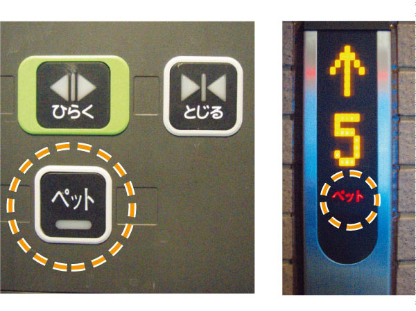 Other.  [Pet button ・ Pets with display lights Elevator] When you press the button is displayed on each floor of the display panel on when you ride along with the pet, Let you know that in advance pet is riding. Pet each other ran into, Prevents or each other barking. (More than the published photograph of the same specifications)