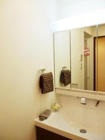 Wash basin, toilet. Come please visit