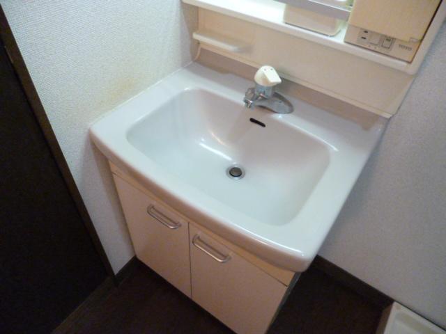 Washroom. Bathroom vanity