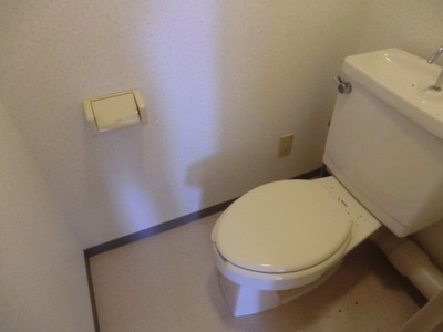 Toilet. Western-style toilet