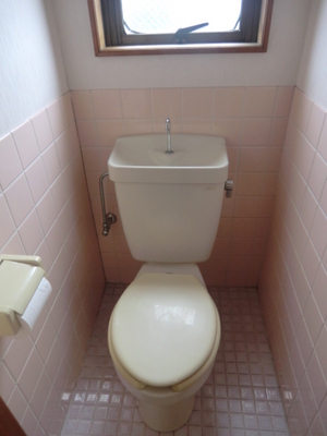 Toilet. Western-style toilet