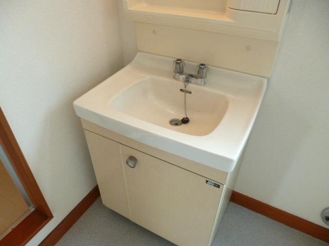 Washroom. Bathroom vanity