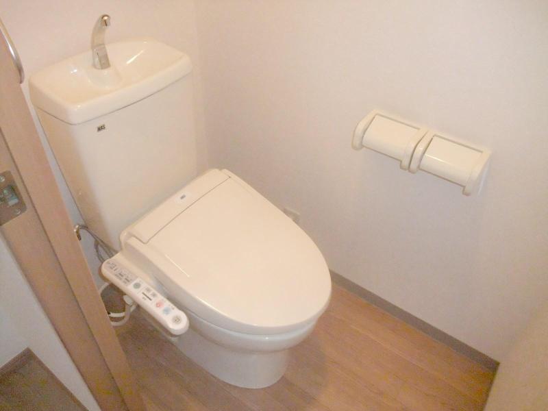 Toilet. Current state priority