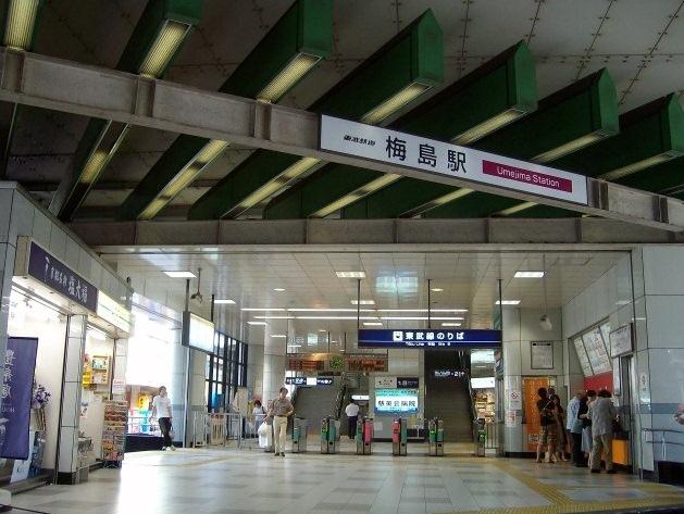 station. Umejima station use