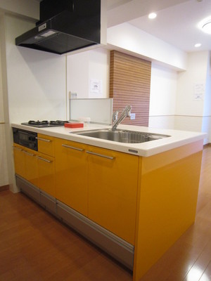 Kitchen. A feeling of opening party kitchen specification (with disposer)