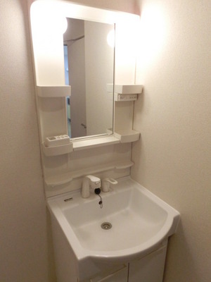 Washroom. Shampoo with Dresser