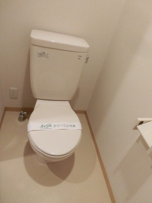 Toilet. Wide toilet