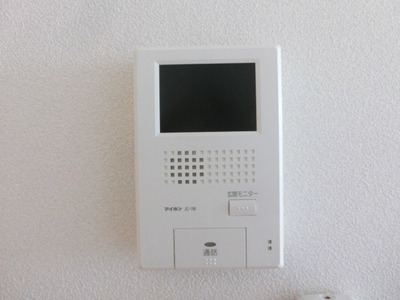 Security. Monitor with intercom