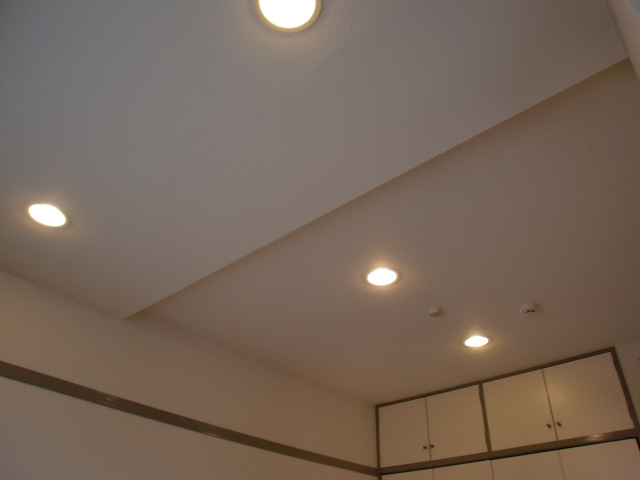 Other. Ceiling down light. Also mounting general lighting equipment. 