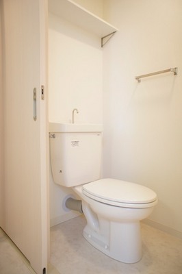 Toilet. There is the upper storage shelves