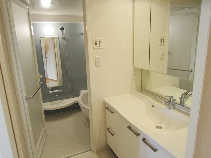 Wash basin, toilet. Vanity room