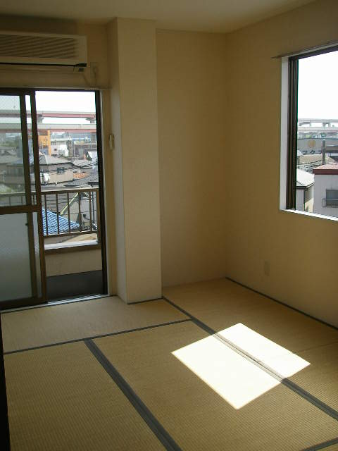 Living and room. Two-sided lighting Japanese-style room