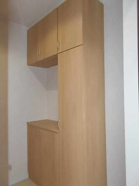 Entrance. It is refreshing also around the entrance because it is with plenty of hanging cupboard also entrance storage