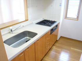 Kitchen. 3-burner stove system kitchen with window