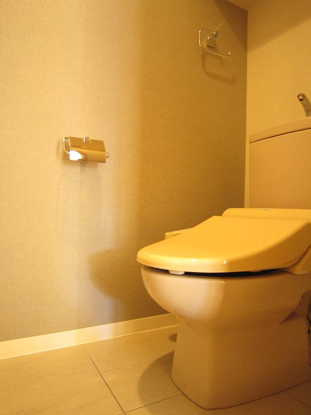 Toilet. Indoor (12 May 2013) Shooting