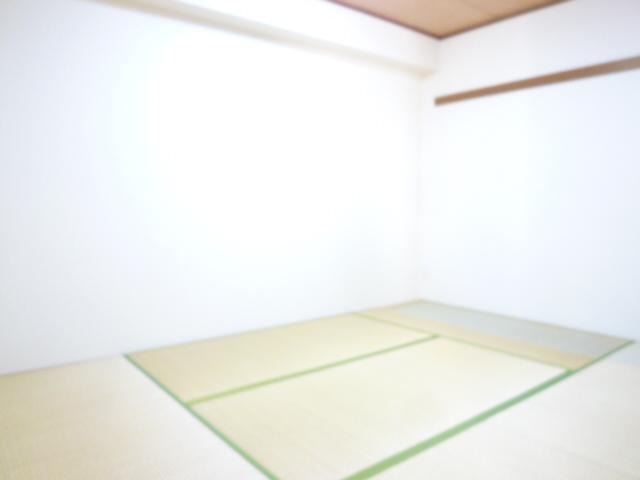 Other room space. Japanese style room