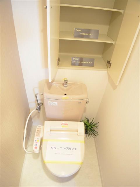 Toilet. Toilet with a storage rack