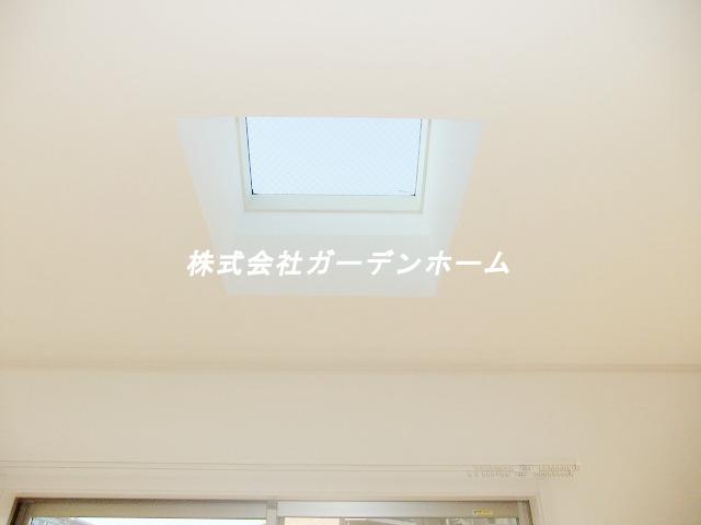 Other introspection. Top light