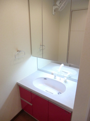 Washroom. Shampoo dresser with three-sided mirror