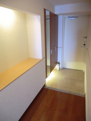 Entrance. Large full-length mirror with shoes BOX