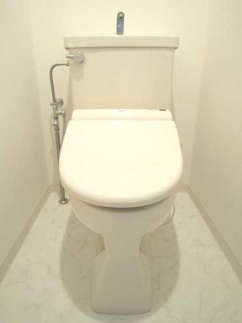 Toilet. Room (August 2013) Shooting