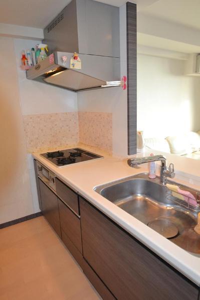 Kitchen. Face-to-face counter kitchen (with built-in water purifier)