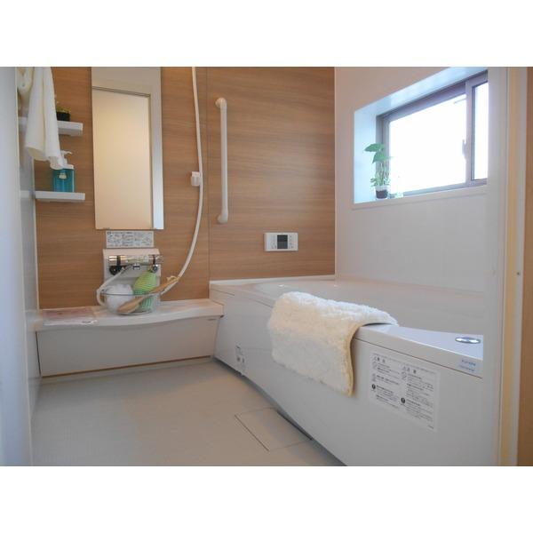 Bathroom. System bus